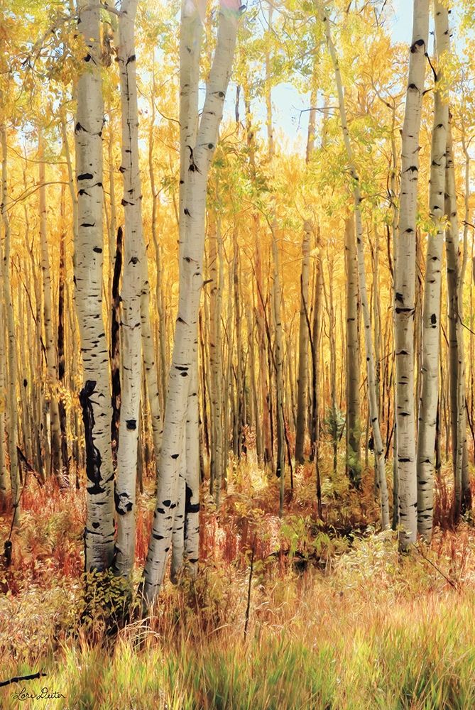 Solid Gold II - Dark version art print by Lori Deiter for $57.95 CAD
