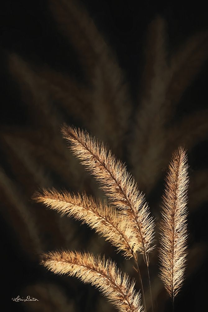 Golden Grass I art print by Lori Deiter for $57.95 CAD