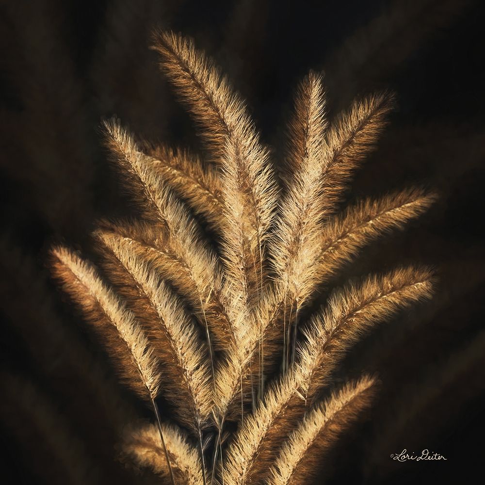 Golden Grass II art print by Lori Deiter for $57.95 CAD
