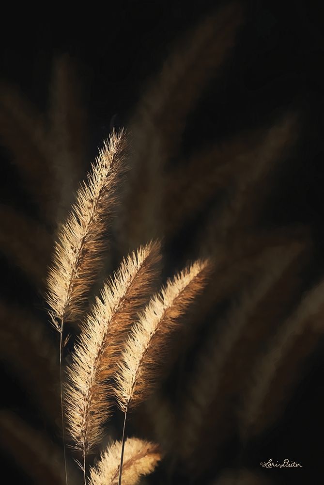 Golden Grass III art print by Lori Deiter for $57.95 CAD