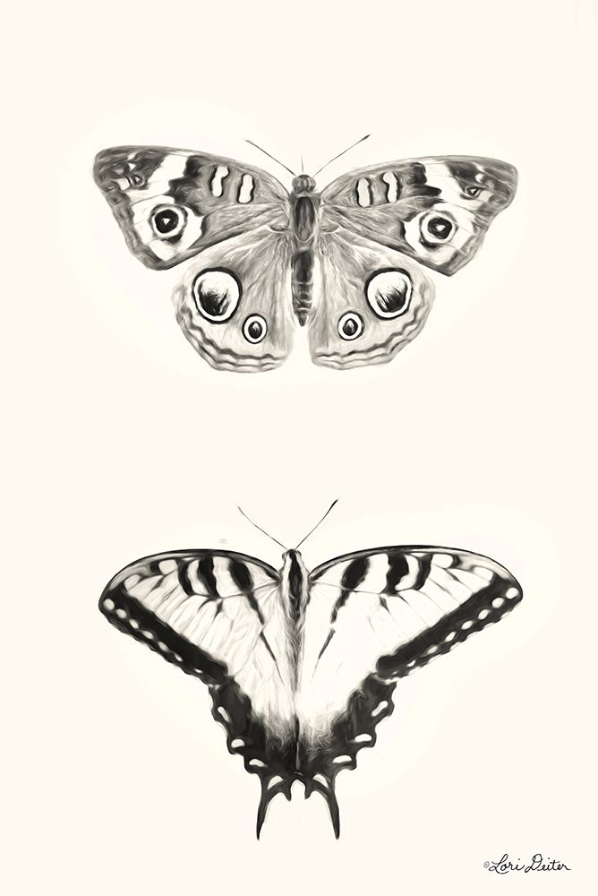 Butterflies art print by Lori Deiter for $57.95 CAD