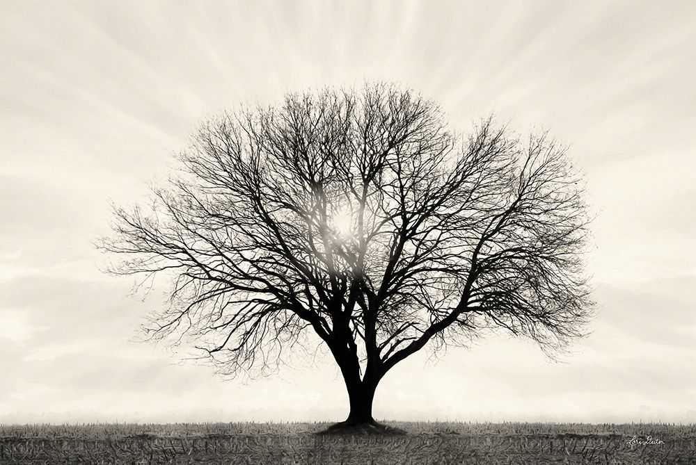 Grow in Different Directions art print by Lori Deiter for $57.95 CAD