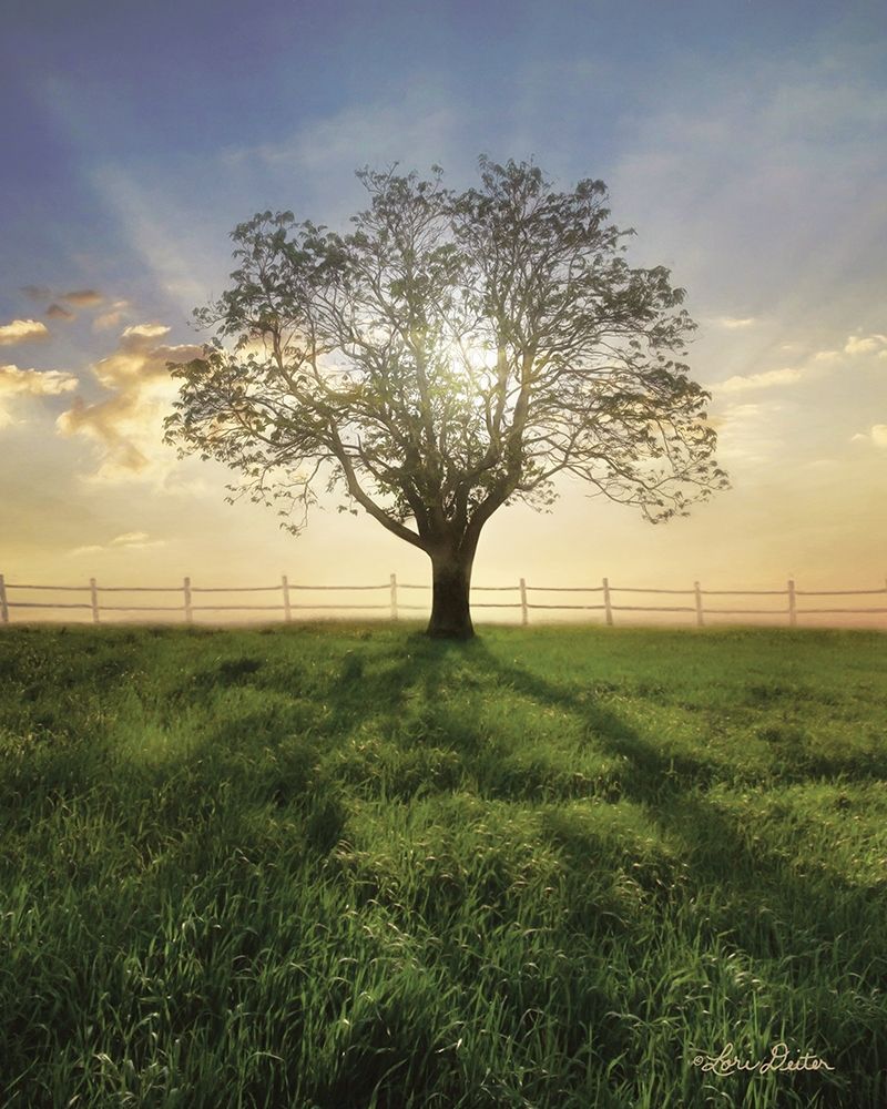 Morning Shadows art print by Lori Deiter for $57.95 CAD