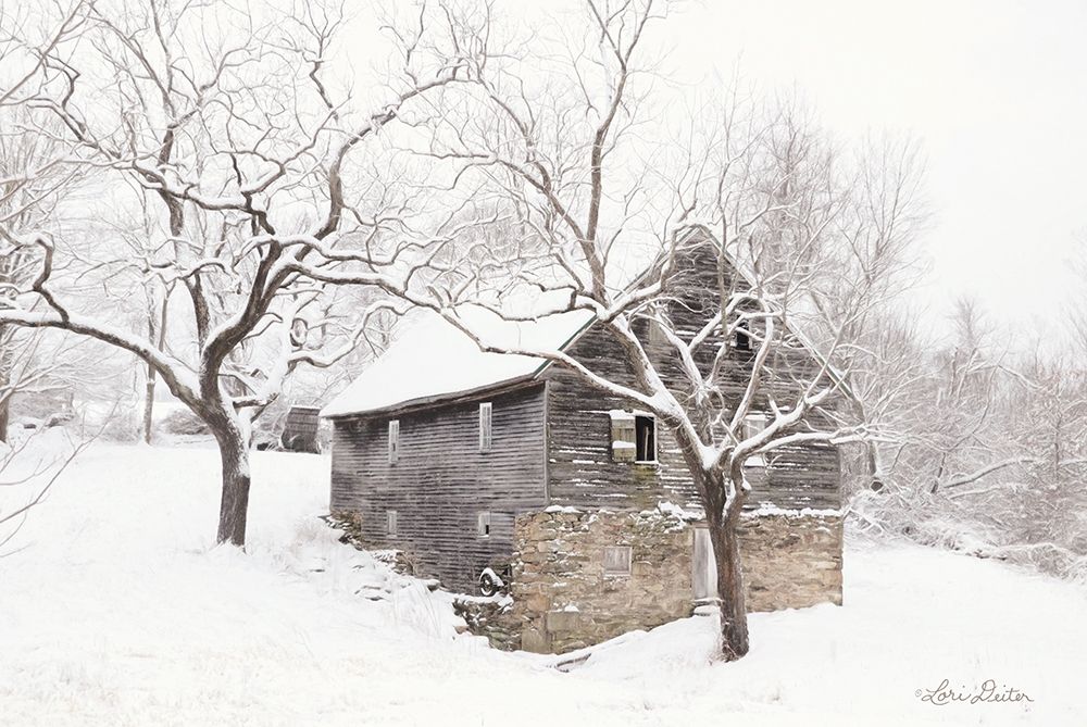 Bare and Cold art print by Lori Deiter for $57.95 CAD