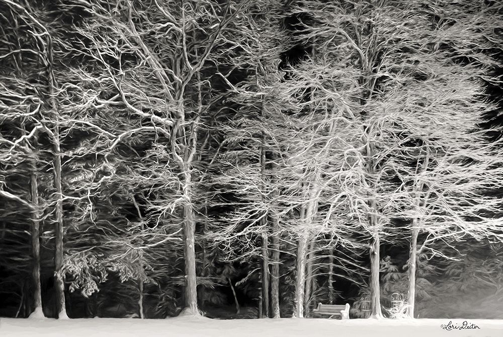 Snowy Trees art print by Lori Deiter for $57.95 CAD