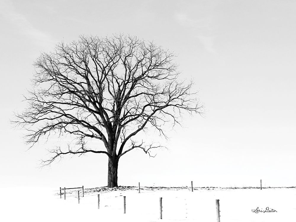 Bare art print by Lori Deiter for $57.95 CAD