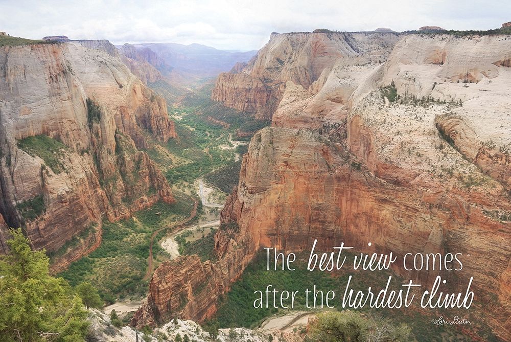 The Best View art print by Lori Deiter for $57.95 CAD