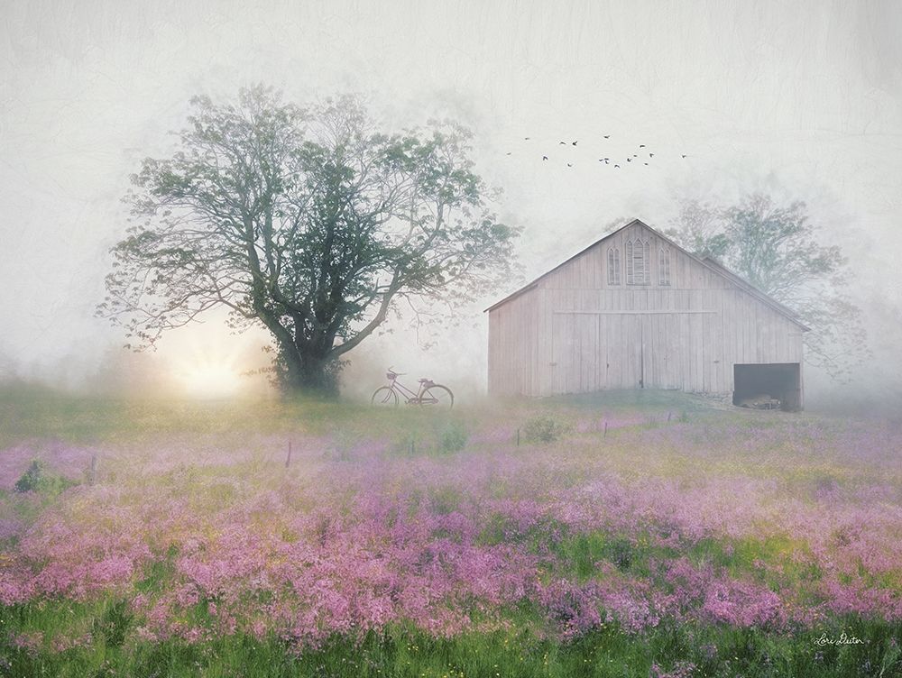 Summer Sunrise art print by Lori Deiter for $57.95 CAD