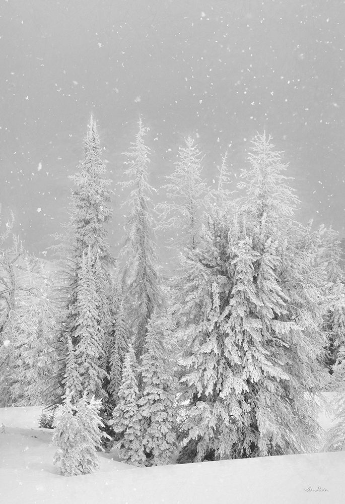 Snowy Lava Mountain art print by Lori Deiter for $57.95 CAD
