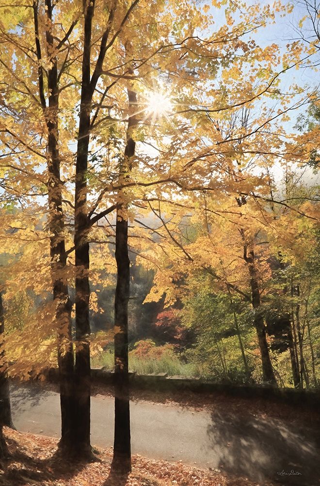 Autumn Light at Letchworth art print by Lori Deiter for $57.95 CAD