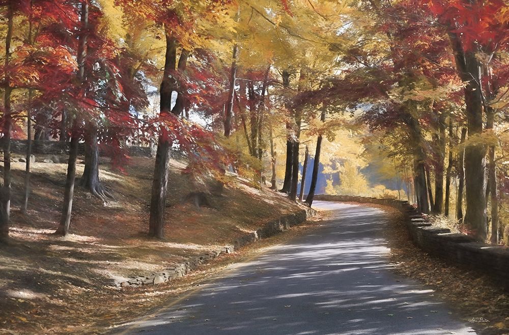Autumn at Letchworth art print by Lori Deiter for $57.95 CAD