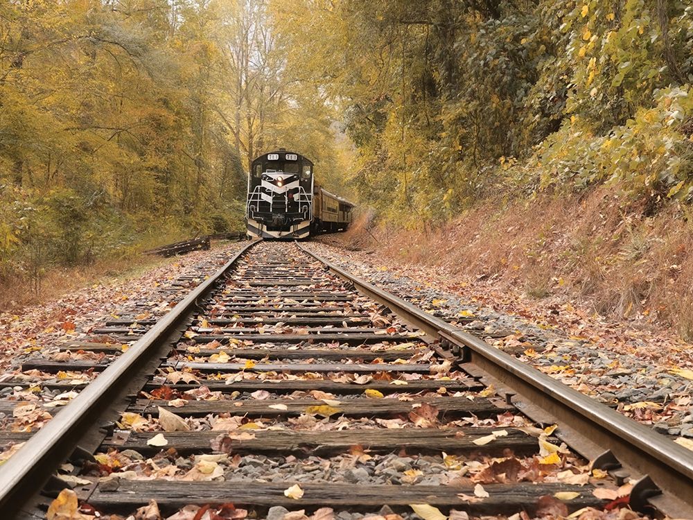 Great Smoky Mountains Railroad art print by Lori Deiter for $57.95 CAD