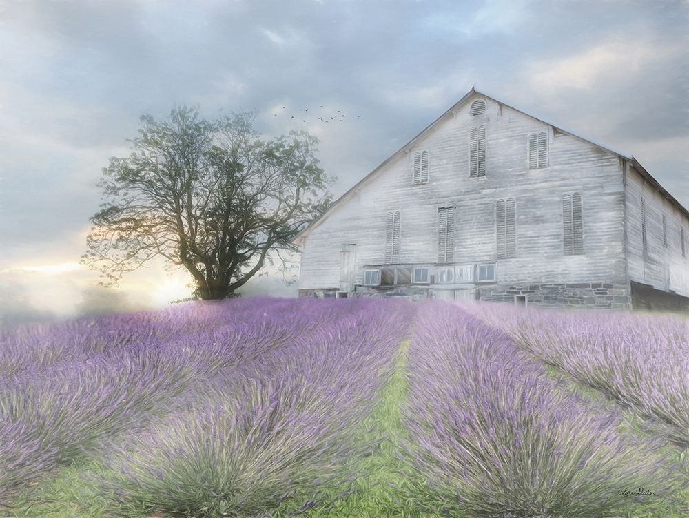 Summer Sunrise art print by Lori Deiter for $57.95 CAD
