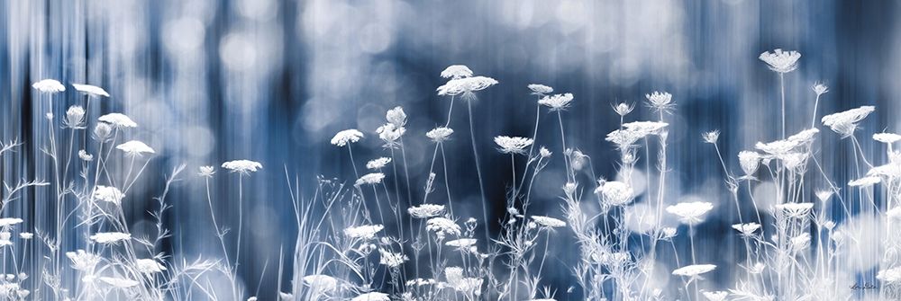 Summer Dreams art print by Lori Deiter for $57.95 CAD