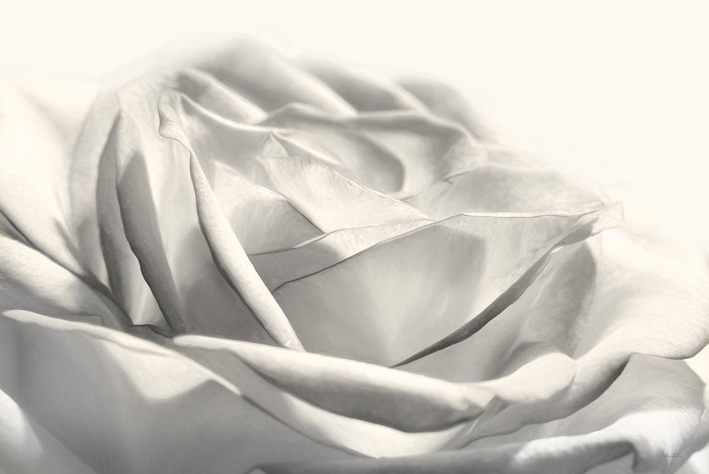Rose III art print by Lori Deiter for $57.95 CAD