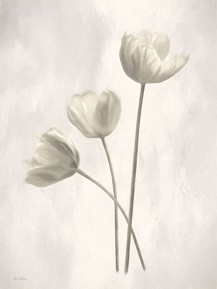 Bleached Tulips I art print by Lori Deiter for $57.95 CAD