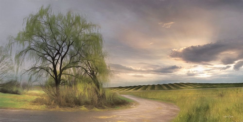 Willow Lane art print by Lori Deiter for $57.95 CAD