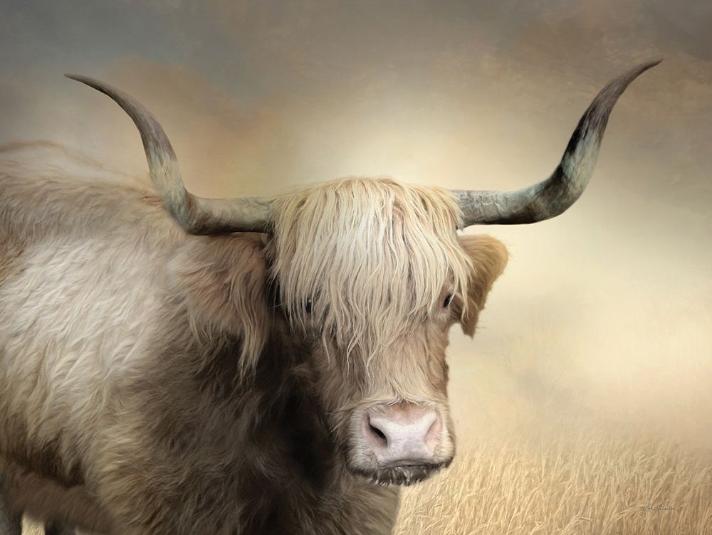Highland Cow in Golden Grass art print by Lori Deiter for $57.95 CAD