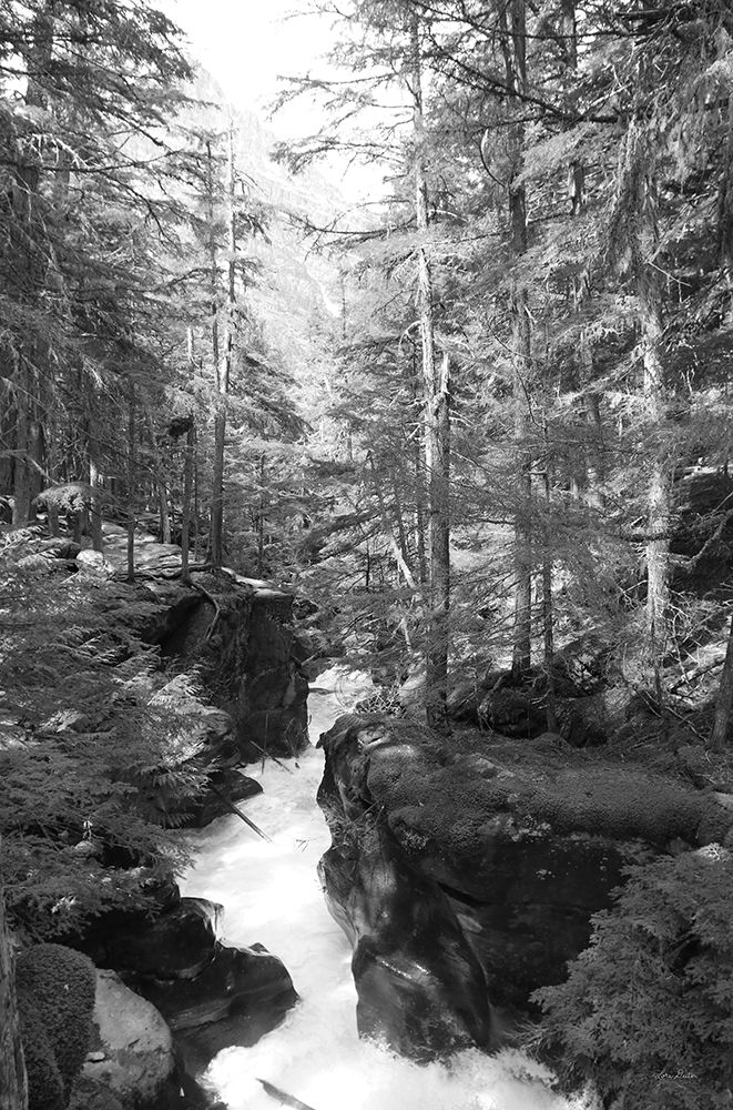 Avalanche Trail art print by Lori Deiter for $57.95 CAD