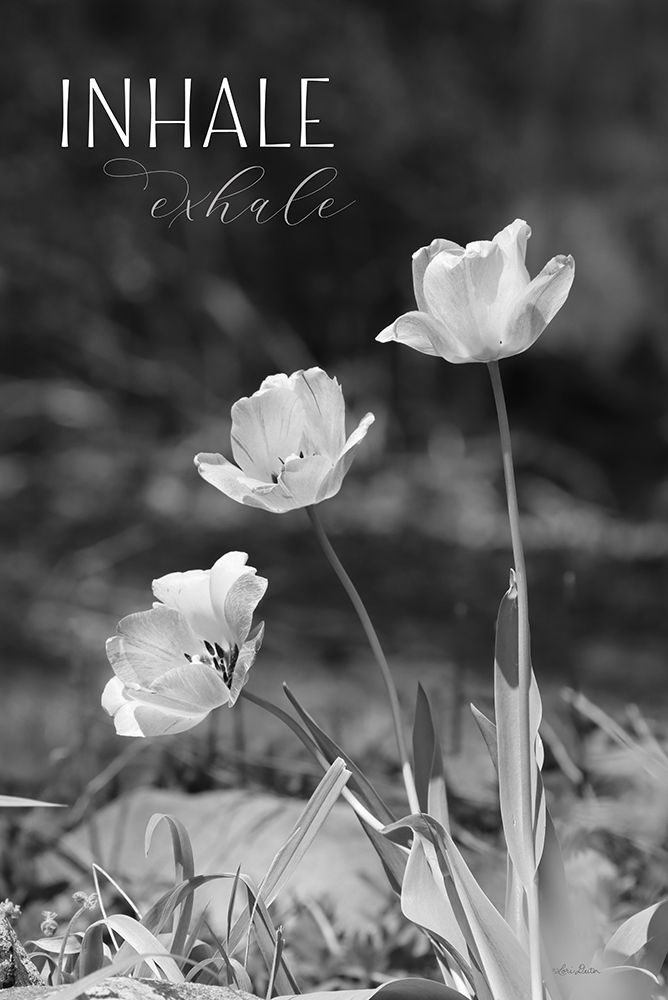 Inhale, Exhale art print by Lori Deiter for $57.95 CAD