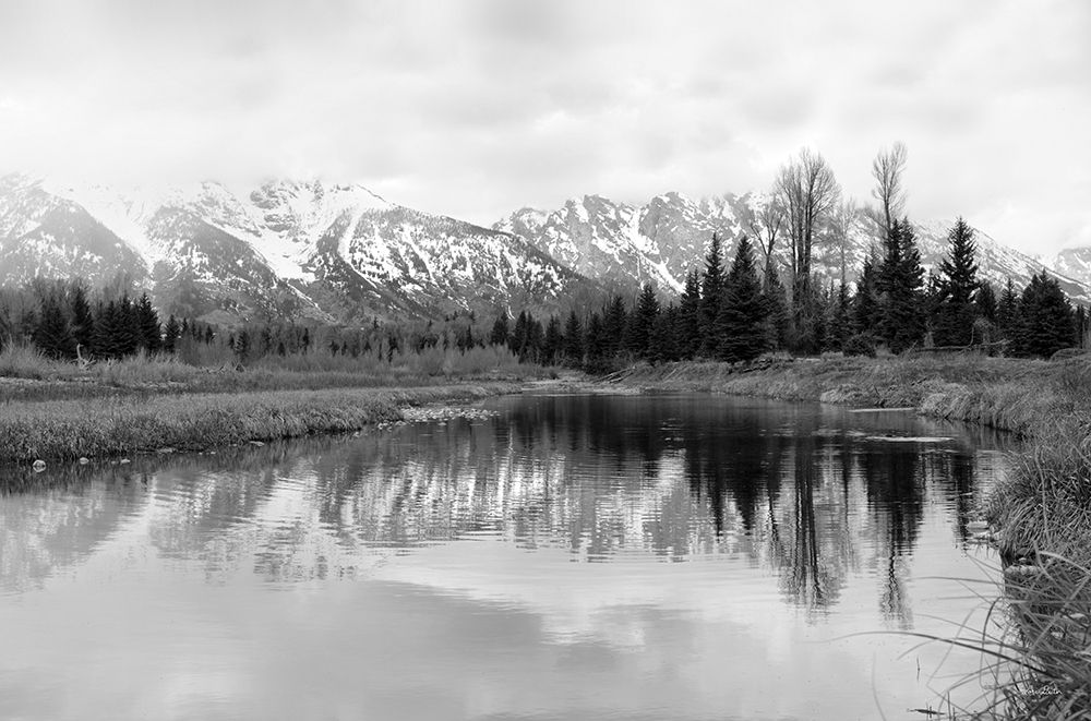 Tetons at Schwabachers Landing art print by Lori Deiter for $57.95 CAD