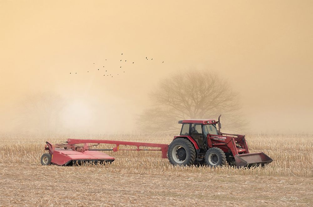 Foggy Morning in the Field art print by Lori Deiter for $57.95 CAD