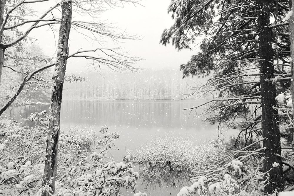 Silence is Beautiful art print by Lori Deiter for $57.95 CAD