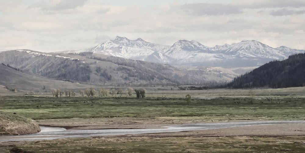 Lamar Valley art print by Lori Deiter for $57.95 CAD