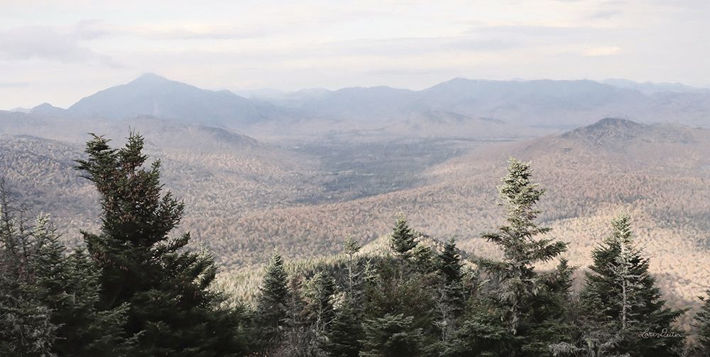 Adirondack Mountains 1 art print by Lori Deiter for $57.95 CAD