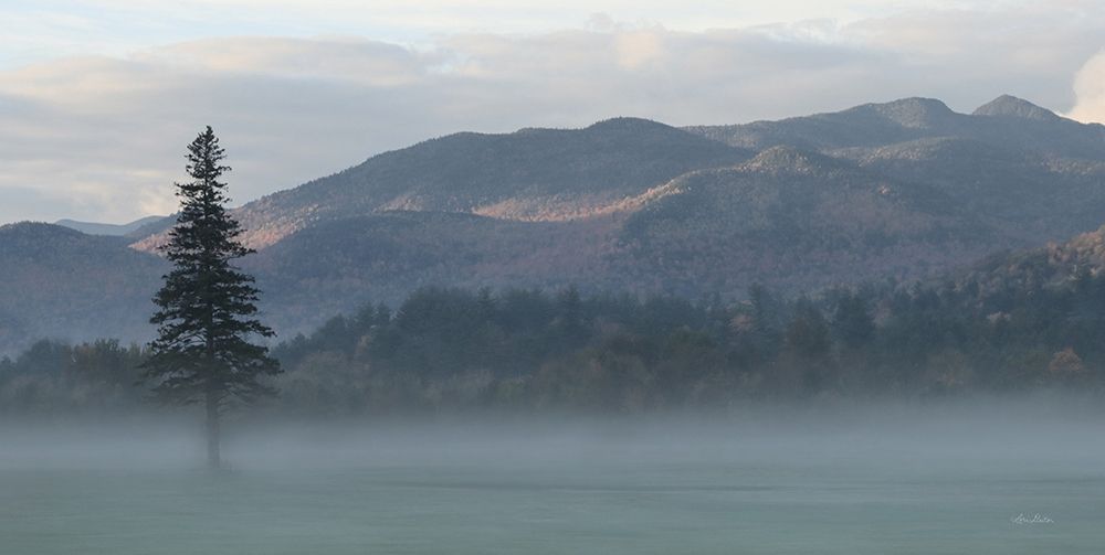 Adirondack Misty Morning art print by Lori Deiter for $57.95 CAD
