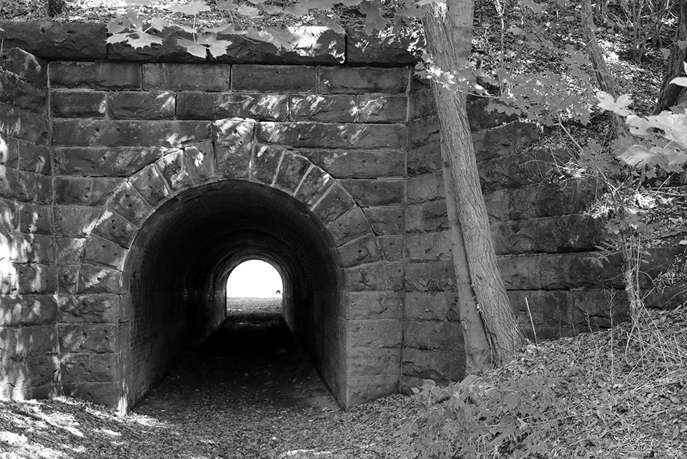 Juniata Tunnel art print by Lori Deiter for $57.95 CAD