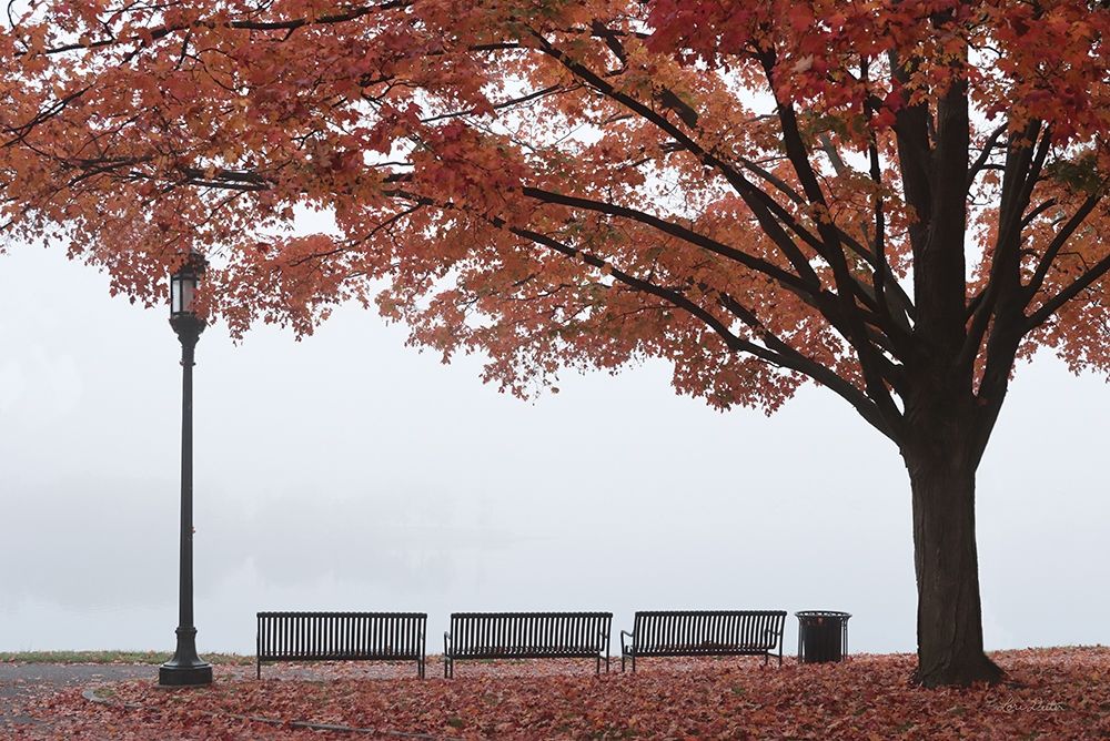 A Place to Dream art print by Lori Deiter for $57.95 CAD