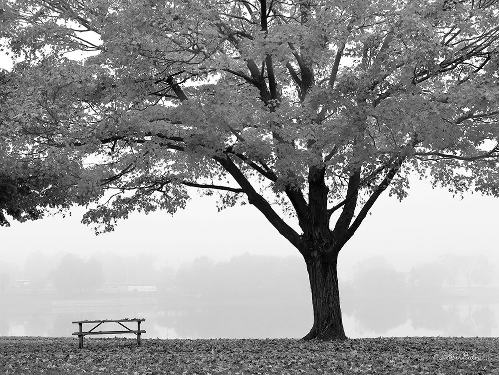 The Empty Table art print by Lori Deiter for $57.95 CAD