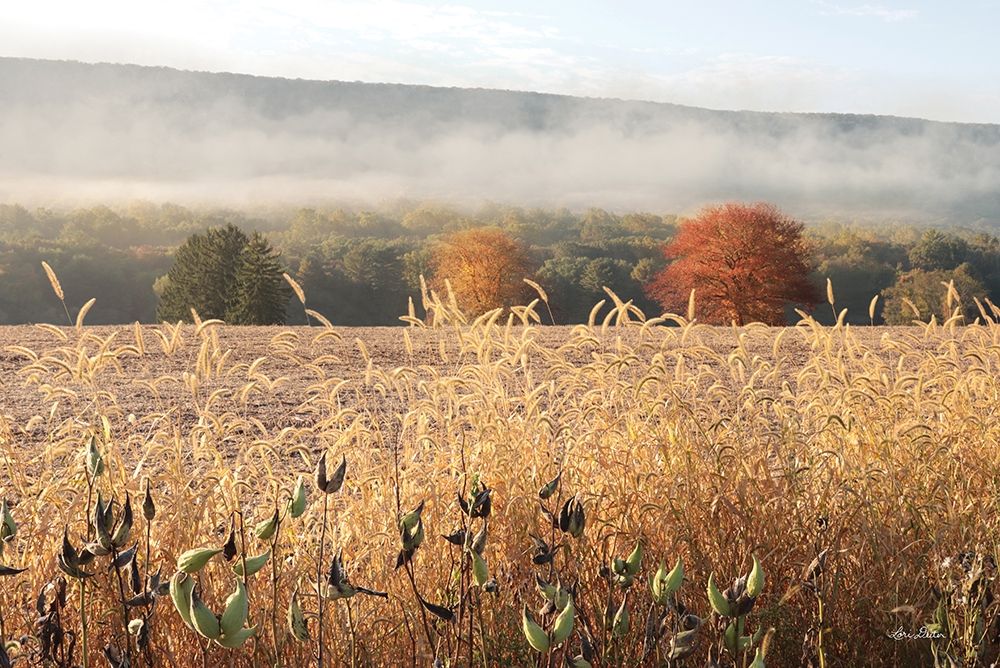 Autumn Shades art print by Lori Deiter for $57.95 CAD