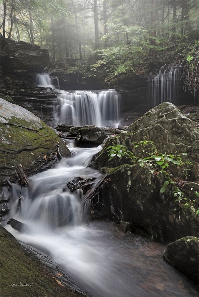 Ricketts Waterfall art print by Lori Deiter for $57.95 CAD
