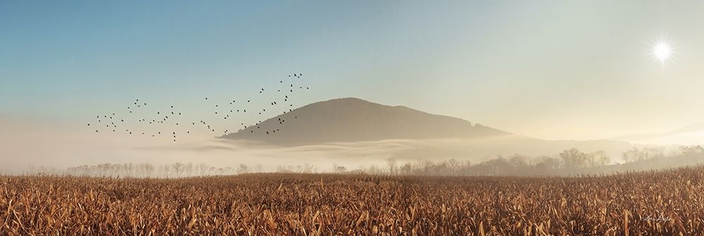 Rakers Mill Road Sunrise art print by Lori Deiter for $57.95 CAD
