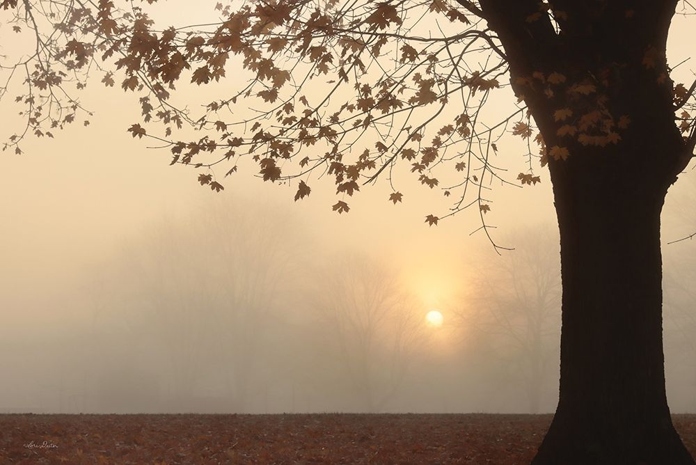 Foggy Morning Sunrise art print by Lori Deiter for $57.95 CAD