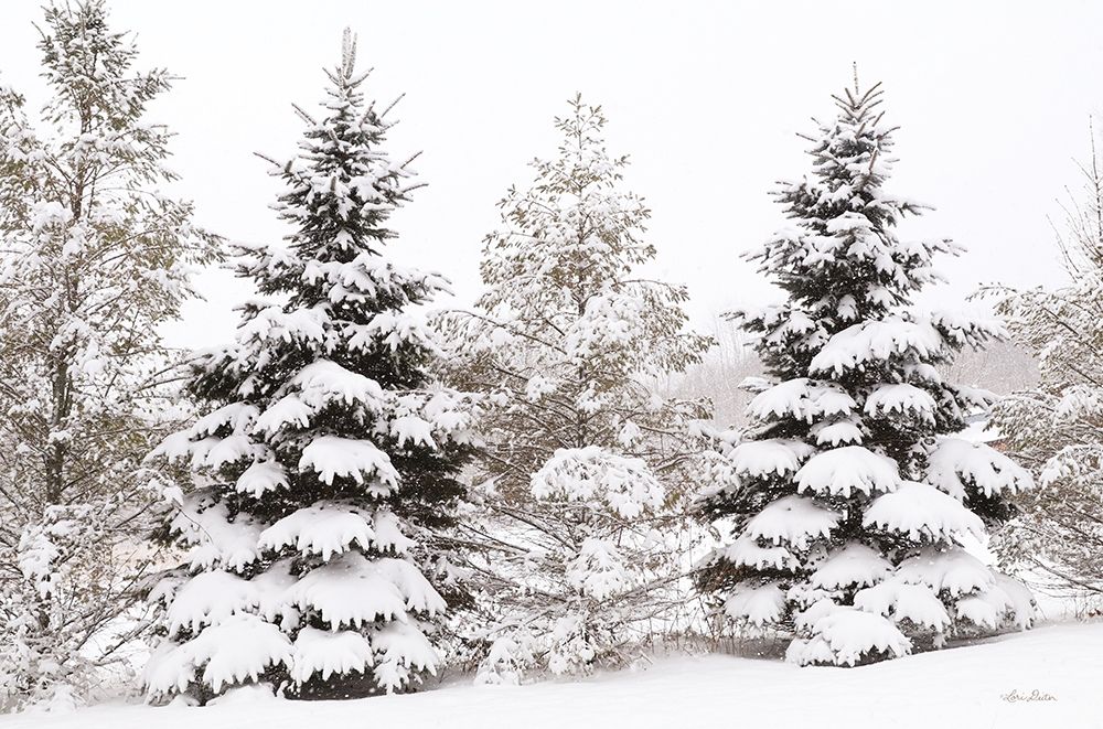 Snowy Pine Trees art print by Lori Deiter for $57.95 CAD