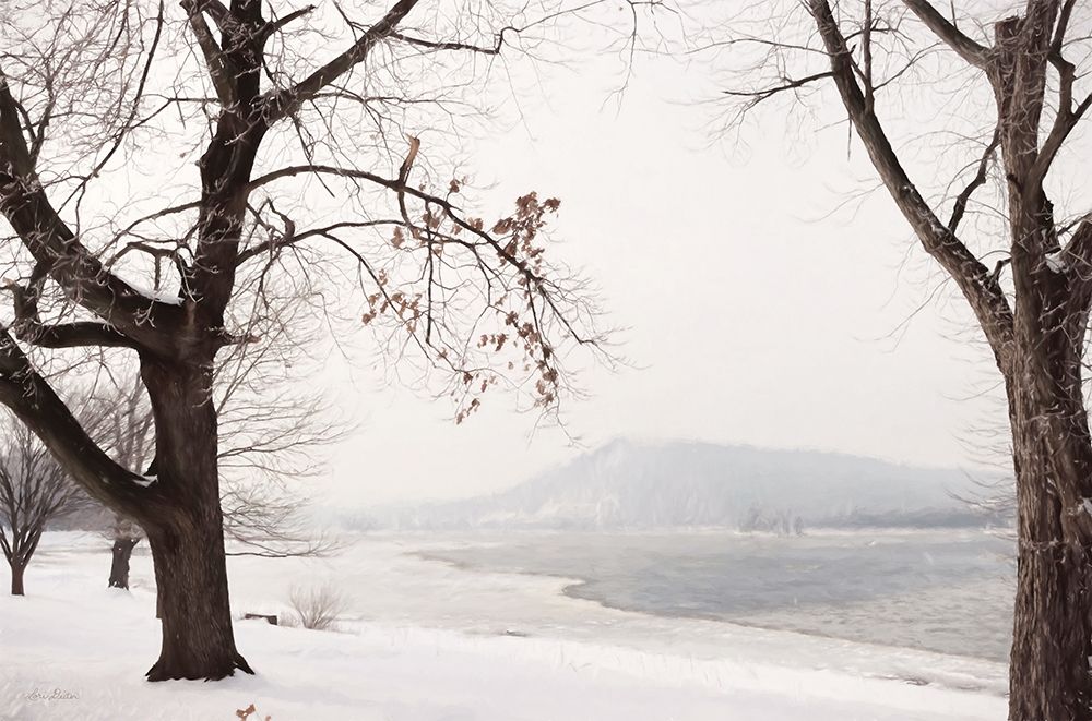 Snowy Susquehanna art print by Lori Deiter for $57.95 CAD