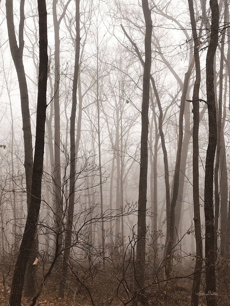 Emptiness art print by Lori Deiter for $57.95 CAD