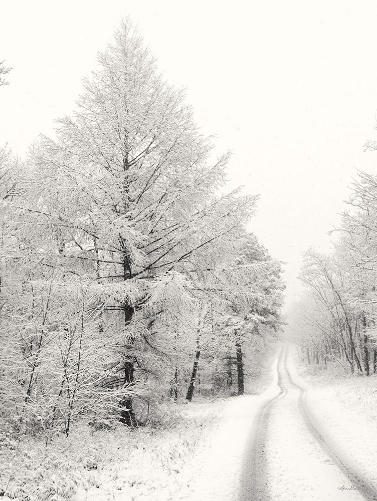 Berry Mountain Road art print by Lori Deiter for $57.95 CAD