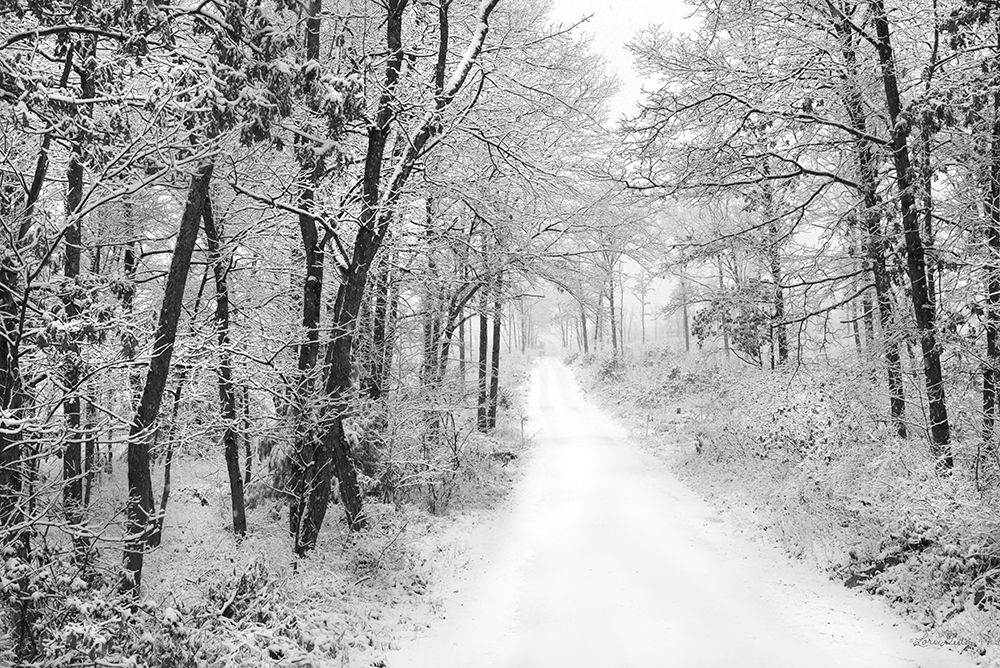Snowy Lane art print by Lori Deiter for $57.95 CAD
