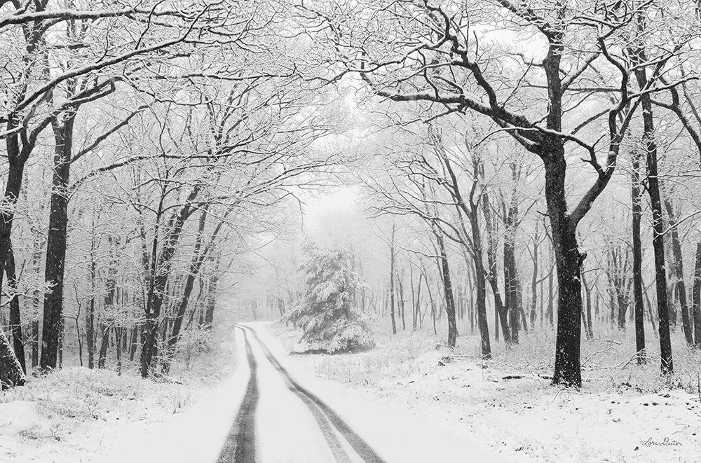 Wintry Road art print by Lori Deiter for $57.95 CAD