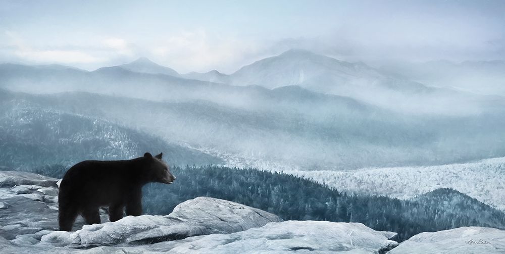 Cascade Mountain Bear art print by Lori Deiter for $57.95 CAD