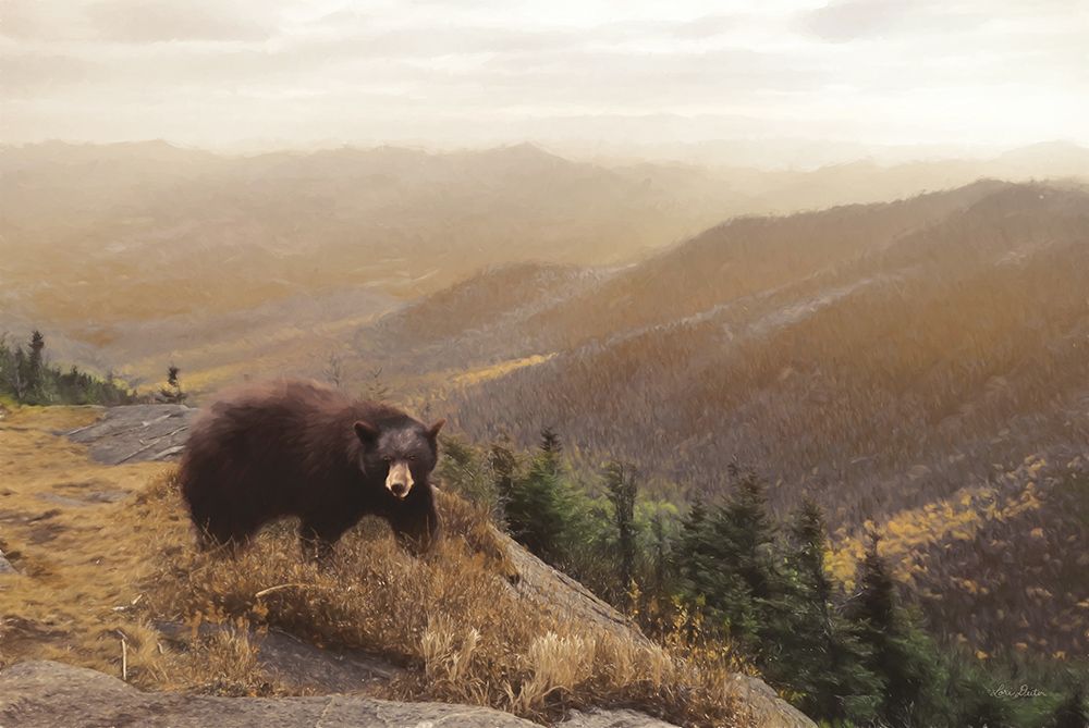 Bear Country art print by Lori Deiter for $57.95 CAD