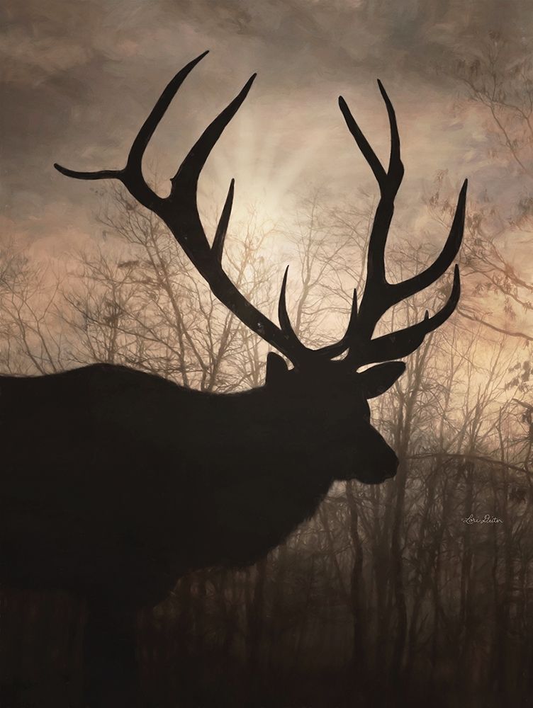 Elk Sunrise I art print by Lori Deiter for $57.95 CAD