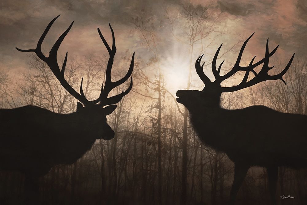 Elk Sunrise III art print by Lori Deiter for $57.95 CAD