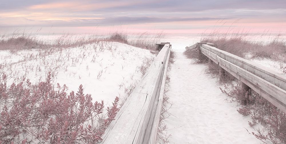 Pink Seaside art print by Lori Deiter for $57.95 CAD