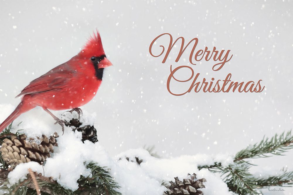 Merry Christmas Cardinal art print by Lori Deiter for $57.95 CAD