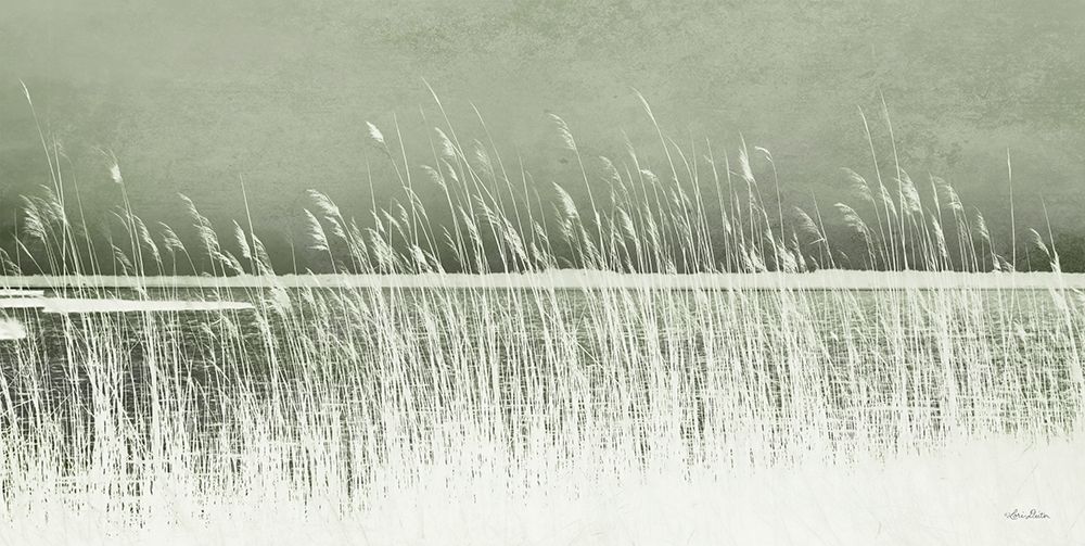 Beach Grass art print by Lori Deiter for $57.95 CAD